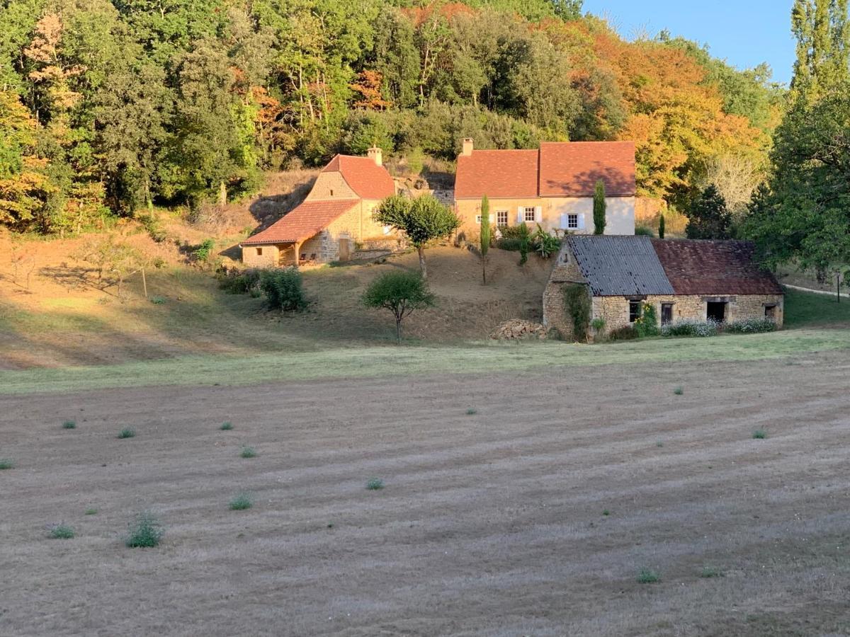 Gite Chez Le Gaulois Carsac-Aillac Ngoại thất bức ảnh