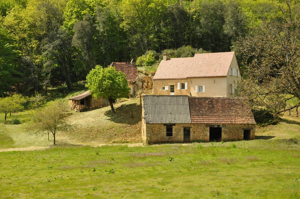 Gite Chez Le Gaulois Carsac-Aillac Ngoại thất bức ảnh